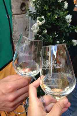 Benvenuto vermentino 2019 vermentino di liguria, toscana e sardegna